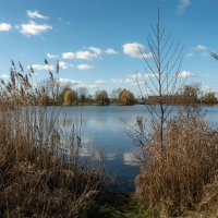 Там, где тростник... :: Николай Гирш