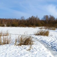 Смоленская весна. :: Милешкин Владимир Алексеевич 
