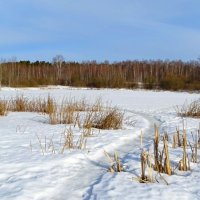 Смоленская весна. :: Милешкин Владимир Алексеевич 