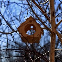 Весна! :: Юрий Гайворонскiий