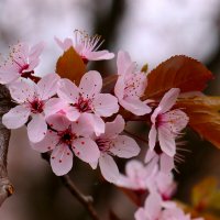 Доброе утро :: Юрий. Шмаков