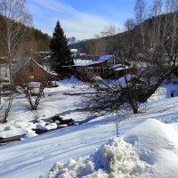 Белокуриха весенняя :: Татьяна Лютаева