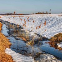 Дыхание весны-первый ручей :: Григорий П