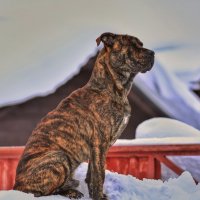 Медитация :: Андрей C