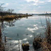 Весна. :: Владимир 