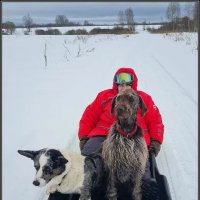 Любители покататься :: Ольга Довженко