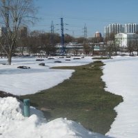 Первые проталины :: Дмитрий Никитин