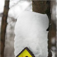 Припорошило... :: Валентин Котляров