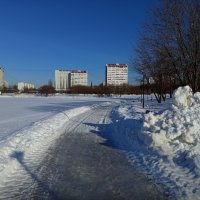 Настоящий март (какой ждем). Перезимовали. :: Андрей Лукьянов