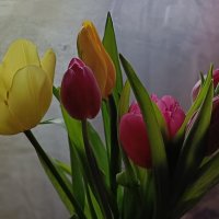 весеннее :: Галина R...