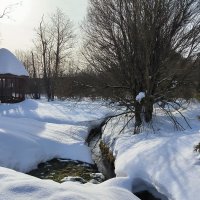 В Мураново. :: Ольга В Мураново. :: Ольга