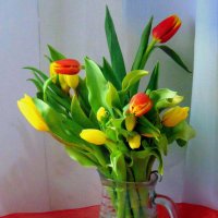 Дарите женщинам цветы. :: nadyasilyuk Вознюк