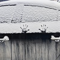 Вот и пришла ВЕСНА! :: Dmitry i Mary S Вот и пришла ВЕСНА! :: Dmitry i Mary S