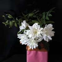 *** :: Светлана 