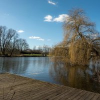 В преддверии весны... :: Николай Гирш