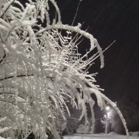 Такая весна. :: Predator Z