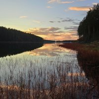 Вечер на Чёрной речке... :: Ирина *