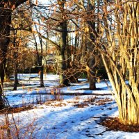 Уже орешник зацветает :: Aida10 