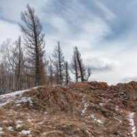 Подвластны ветру :: Марина Фомина.