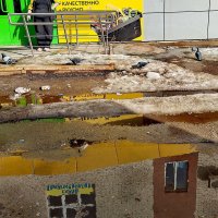 солнечно и ярко... :: Любовь 