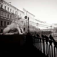 У Львиного моста :: Наталья Герасимова