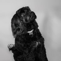 Что там?.. :: Светлана 