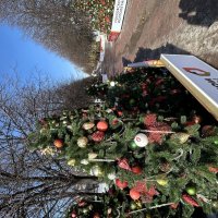 10 марта в Москве еще елки :: Натали 