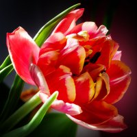 *** :: Виктор Иванович Чернюк