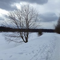 Начало марта в Измайловском парке :: Андрей Лукьянов