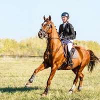 Конкур :: SanSan 