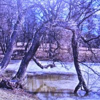 Тает снег :: Людмила Смородинская