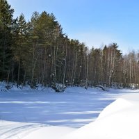 Прудик под снегом. :: ВикТор Быстров