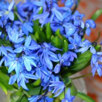 ,,, :: Сергей Тимоновский