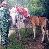 Кушать хочется! :: Татьяна Иваненкова