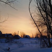 Утро☀️ :: светлана льдокова