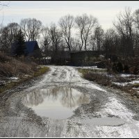 Пригрело... :: Aleksandr Gal