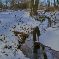 Бегут ручьи... :: Андрей K.