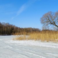 Весна :: Милешкин Владимир Алексеевич 