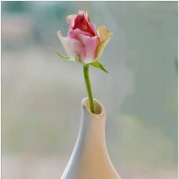 СЮРПРИЗ... :: Elvira E. 