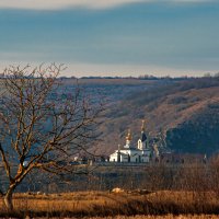 Ранним утром... :: Светлана Фокша