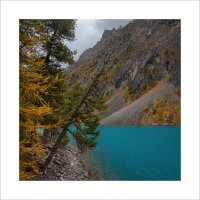 * :: Александр Иванов