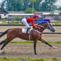Вместе п победе. :: юрий Амосов