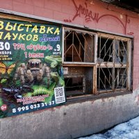 В ПОЛНОМ СООТВЕТСТВИИ С... :: Юрий Вовк