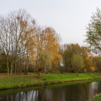 *** :: Николай Гирш