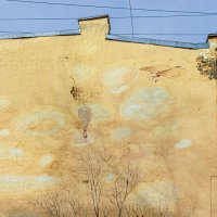 Ворона :: Eugene *