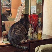 любимое занятие МАЛЫША :: Любовь любимое занятие МАЛЫША :: Любовь