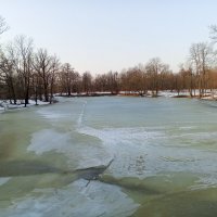 Весна :: Сапсан 