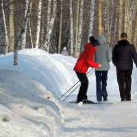 Лыжница :: Вик Токарев