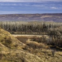 Окрестности :: Игорь Сикорский