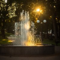 4121 :: Alex . 4121 :: Alex .